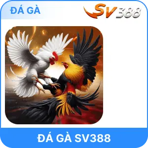 ĐÁ GÀ SV388 AU88